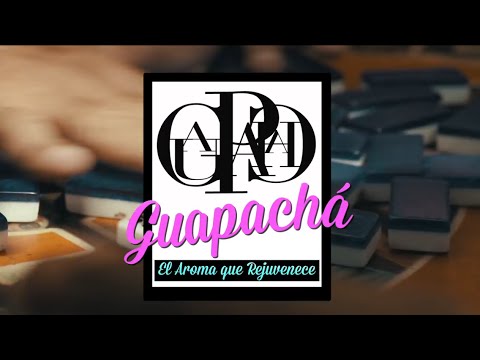 El Arka - "Guapacha" (Produced by DJ 13)
