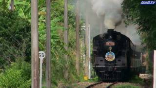 preview picture of video '臺鐵 舊山線  蒸汽火車 Steam Locomotive CK124 in Taiwan'