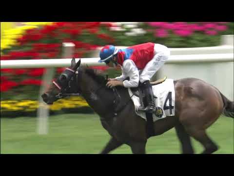 28/3/2021 (536) Winwin Thirtythree - J Moreira