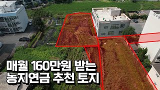 [농지연금] 온천 옆에서 텃밭농사 지으며 매월 160만원 받을 수 있는 땅