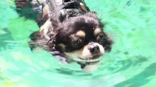 Ginger Bread House คุณปุ้น