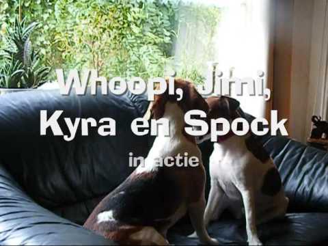 Whoopi, Jimi, Kyra en Spock in actie