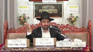 הרב מאיר אליהו | עושים מה שרוצים | מוסאיוף - ה׳תשפ״ו