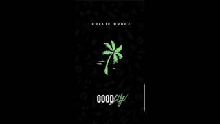 collie buddz i got you