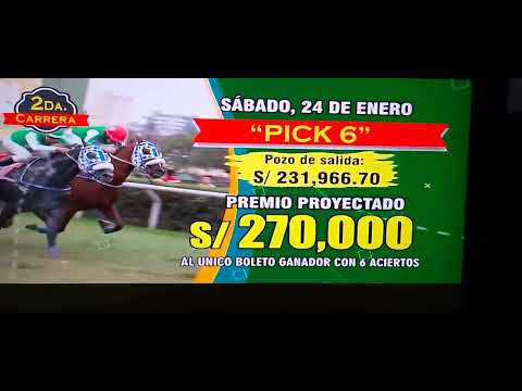 Pozos de la semana 04 desde el sábado 24 al lunes 26 de enero 2026.