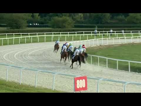 2017.09.24. 6. futam - NÉMETH FERENC EMLÉKKUPA VI. FUTAMA HENDIKEP (V/b.) (szintetikus pálya)