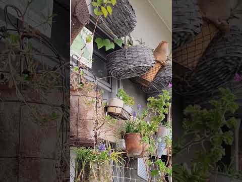 バルコニーを植物で飾る – お金のかからないアイデア  庭園