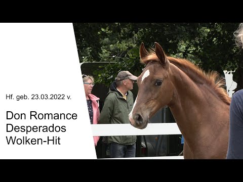 Hf v Don Romance x Desperados x Wolken Hit 2022