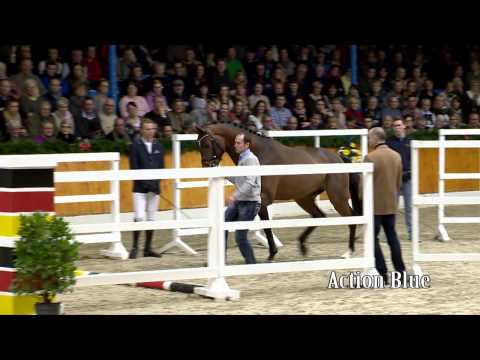 Action Blue english 2015