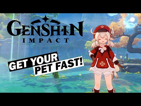 Get Your Pet FAST! - Lost Riches Complete Event Guide - Genshin Impact