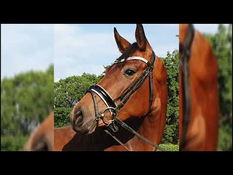 Drei jährige Tochter des Morricone aus einer Florencio Mutter