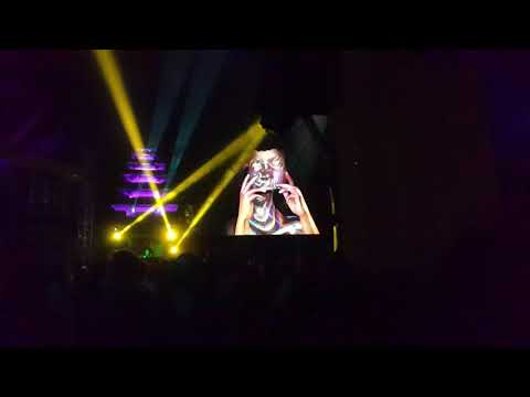 Modem Festival Mutations V2 2021 - Swamp Stage at Night