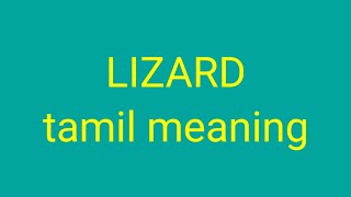 Lizard Meaning In Tamil Watch HD Mp4 Videos Download Free