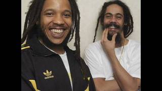 Damian Marley  ft. Stephen Marley - For The Babies