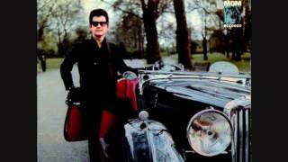 Roy Orbison - City Life