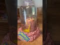 #seamonkeys 2 Week Update