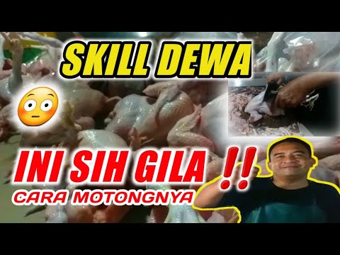 CARA MEMOTONG AYAM MENJADI 8 BAGIAN @dapurserlok6295