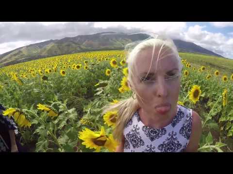 NOEP - Golden (Maui2017trailer)