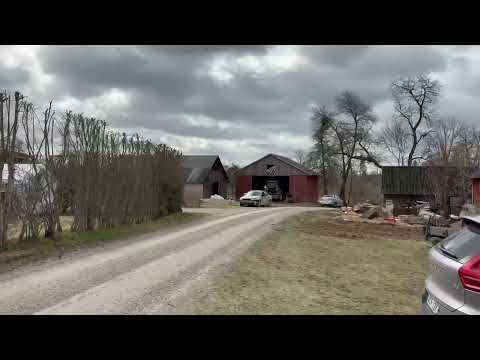 Videoklipp