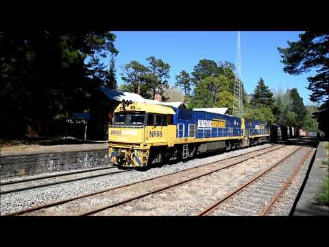 Pacific National 5PM5 NR68 NR76 G542 31st October 2021