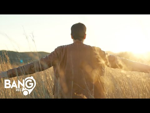 DJ ROSS, POUL - Friends For The Night (Lyrics Video)