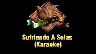 Sufriendo A Solas - Valentin Elizalde (Karaoke) 2023
