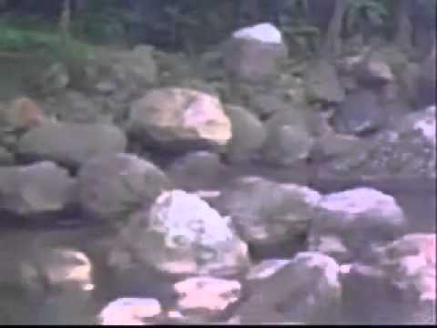 andik's-dustaiku.mp4