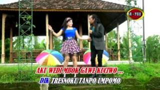 Tresno Marang Rondo - Arya Satria feat. Erin Sabrina (Official Music Video)