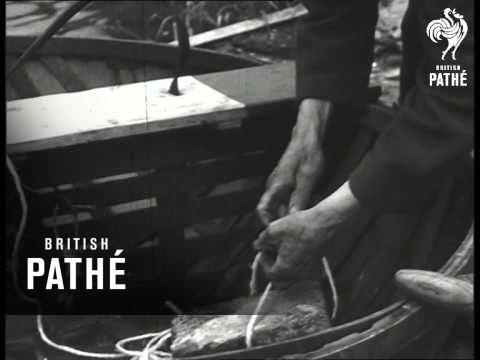 Coracle Fisherman (1948)