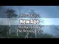🎧  New ageㅣMichael Hoppe - The Waitingㅣetc,12곡ㅣ48 minuteㅣ