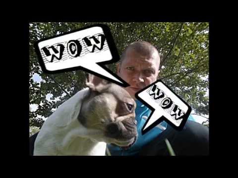 Wiśnia 3pe - wow gościu