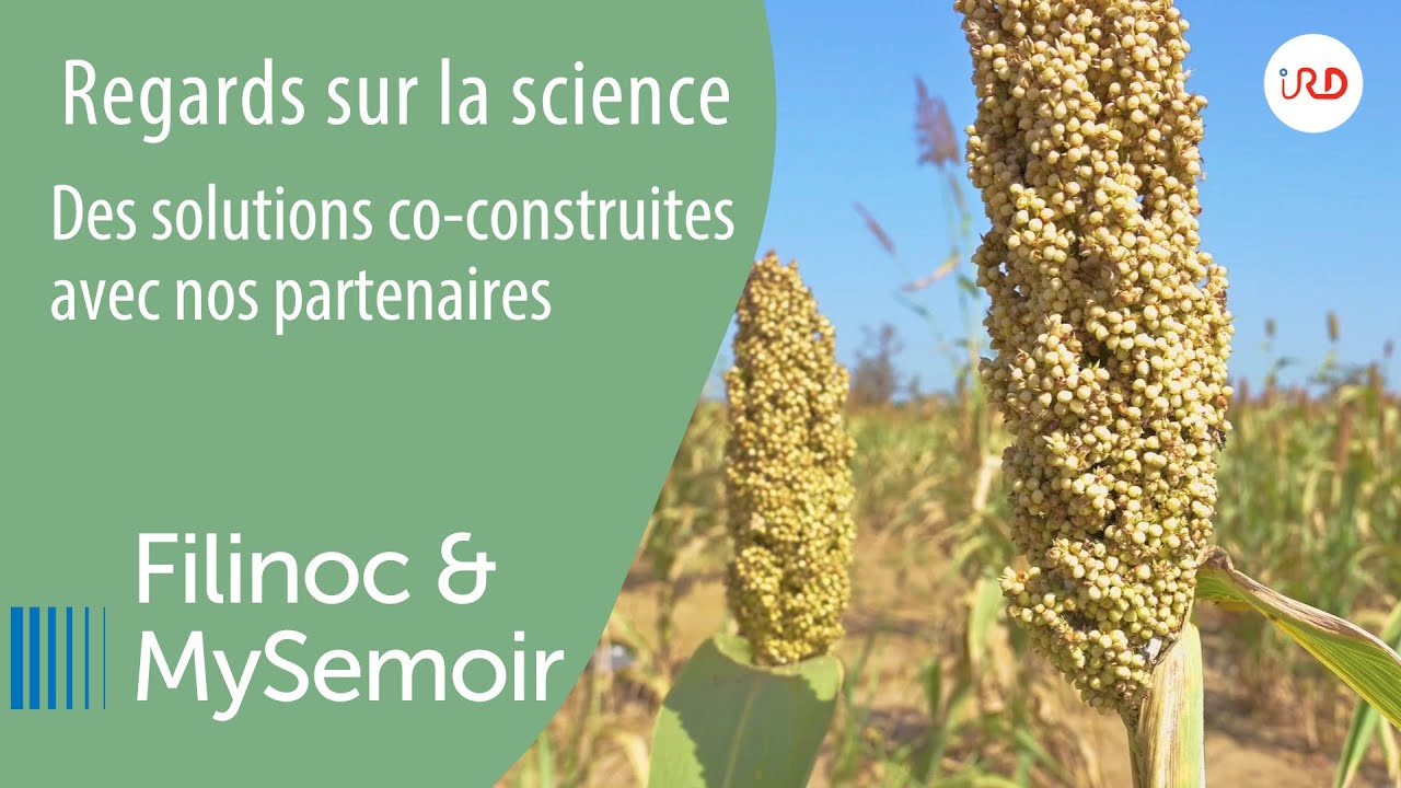 Filinoc & MySemoir, des innovations au service des sols et des agriculteurs