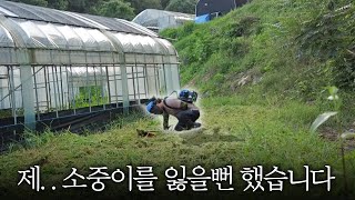 야채차 한잔으로 시작하는 재배맨의 하루 (ft.참트루 야채수)