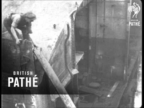 Carving Up The Lion  (1924)