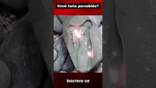 Ele foi longe DEMAIS! 😳 #curiosidades
