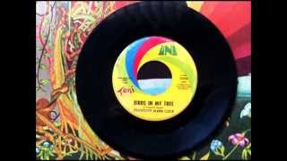 Birds In My Tree , Strawberry Alarm Clock , 1968 Vinyl 45RPM