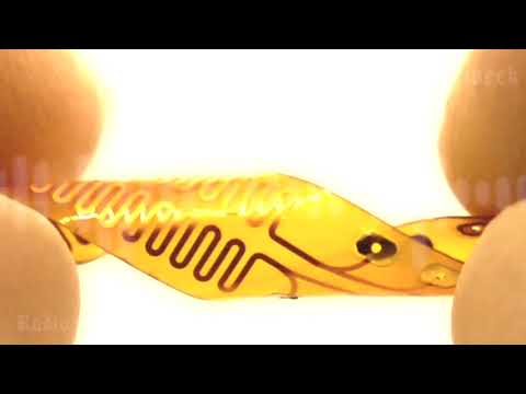 💡 Adiós al dolor crónico: ¡nuevo chip AI!🔋 #ciencia #tecnología #salud