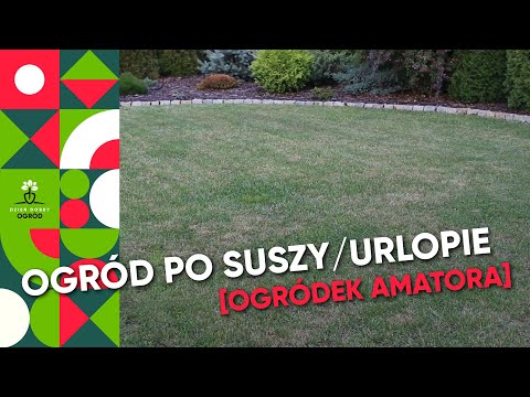 Ratowanie ogrodu po suszy i po urlopie