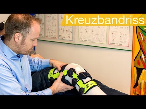 Medikamente für Gelenkerkrankungen bei Hunden Der Hüftgelenk-Funktion