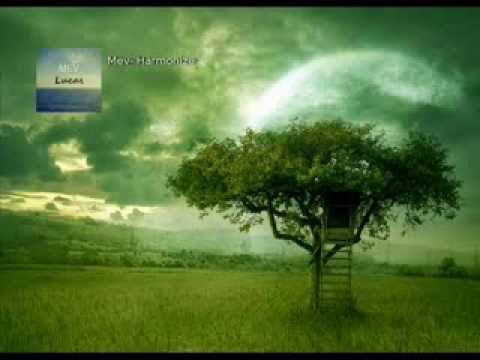 Mev - Harmonize