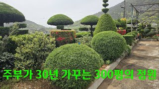 주부가 30년을 가꾸는 300평의 우아한 정원