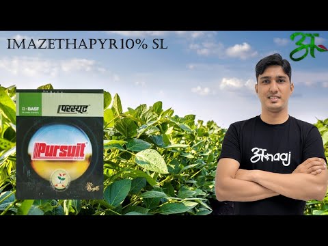 BASF Pursuit Herbicide, Box, 1 Ltr