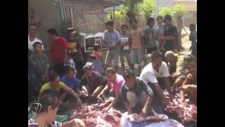 Download lagu Charly berQurban di Kampung Halaman Blagrdog,Cirebon mp3 Download lagu Charly berQurban di Kampung Halaman Blagrdog,Cirebon mp3