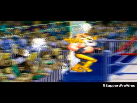 Thunder Pro Wrestling Megadrive