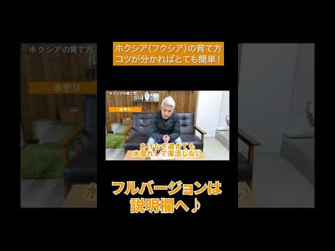 フクシアの剪定方法は？植物が実際に再び成長できるようにするには、いつ剪定する必要がありますか?  庭園