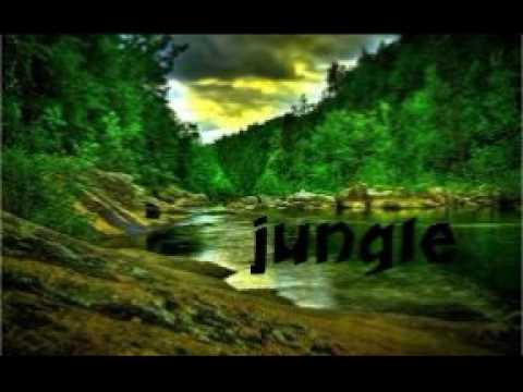 didi ft mk jungle