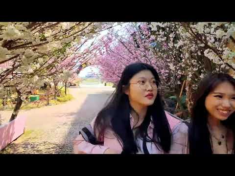 FotoZ 18mm Wide Lens for iphone, Smartphone