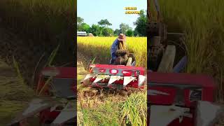 Download lagu Mesin Panen Padi ini Hanya memotong batang Padi, Namun Sangat bermanfaat gantikan mesin besar mp3 Download lagu Mesin Panen Padi ini Hanya memotong batang Padi, Namun Sangat bermanfaat gantikan mesin besar mp3