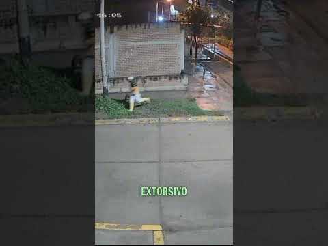 𝐃𝐞𝐬𝐚𝐫𝐭𝐢𝐜𝐮𝐥𝐚𝐦𝐨𝐬 𝐚  𝐋𝐨𝐬 𝐅𝐢𝐧𝐨𝐬 𝐝𝐞 𝐙𝐚𝐫𝐮𝐦𝐢𝐥𝐥𝐚, organización criminal vinculada a extorsión en Tumbes