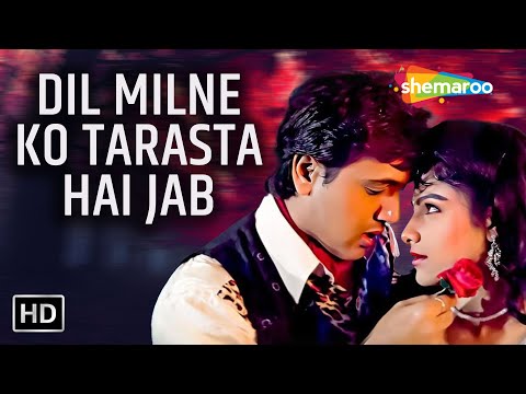 Full Video: Dil Milne Ko Tarasta Hai | Ekka Raja Rani (1994) | Govinda, Ayesha Jhulka | Alka Yagnik